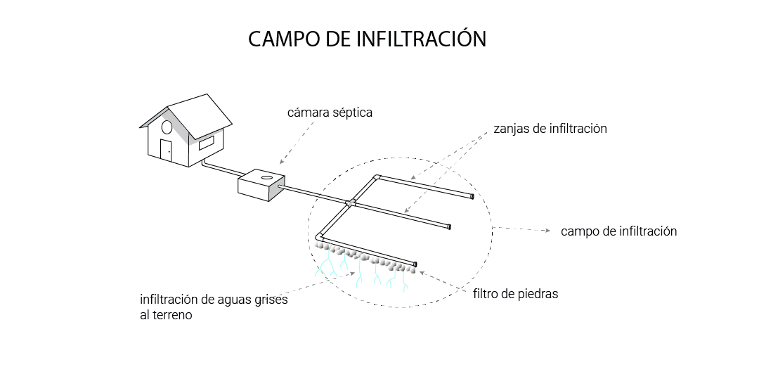 Campo-de-infiltración
