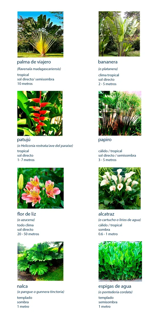 Plantas-para-Pozo-Ecológico-de-Llantas