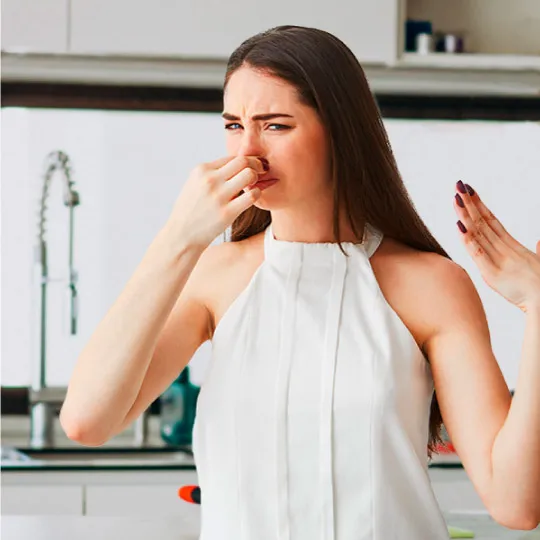 Las 5 causas del mal olor en cañerías.  ¡Soluciones + extras!