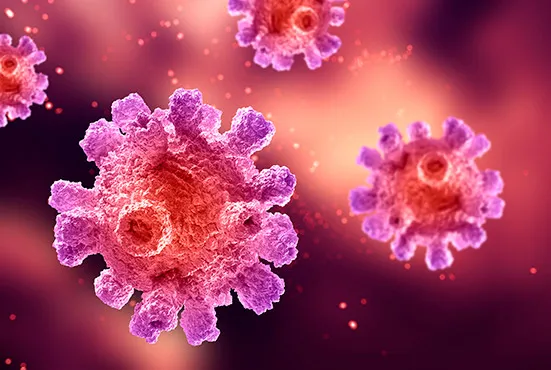 ¿Cómo funciona un pozo ciego?  "Trabajan" microorganismos 24/7.